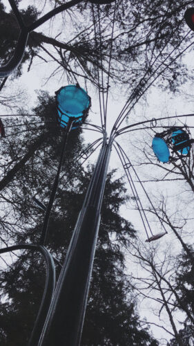 Jeff Tangen Playa Flowers - photo by Indi Rose of Poulsbo WA Instagram indiarose94