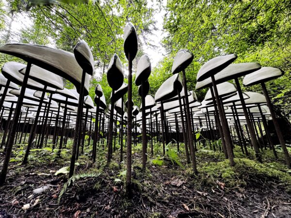 Lichen Series Spore Patterns by Jenni Ward at Price Sculpture Forest - photo by Camper Chen