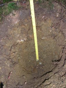 Soil around archaeological shovel probe hole