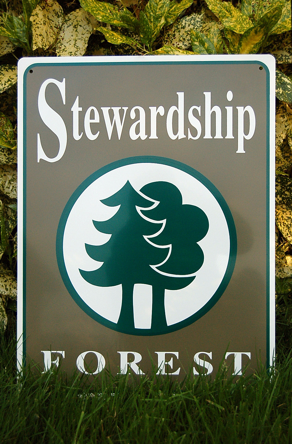 2008-05-29 Coupeville Long Point 15 acres Stewardship Forest sign