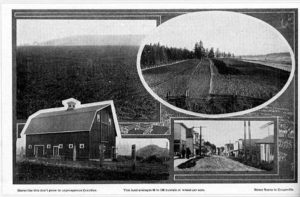 Island County: World Beater, Coupeville photos page 16