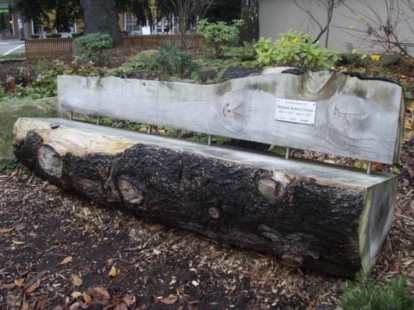 Solid log bench