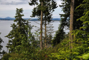 View looking northeast across property to Saratoga Passage from Price Sculpture Forest park in Coupeville on Whidbey Island