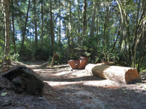 Jan Hoy 4-Up at Price Sculpture Forest sculpture park Coupeville Whidbey Island
