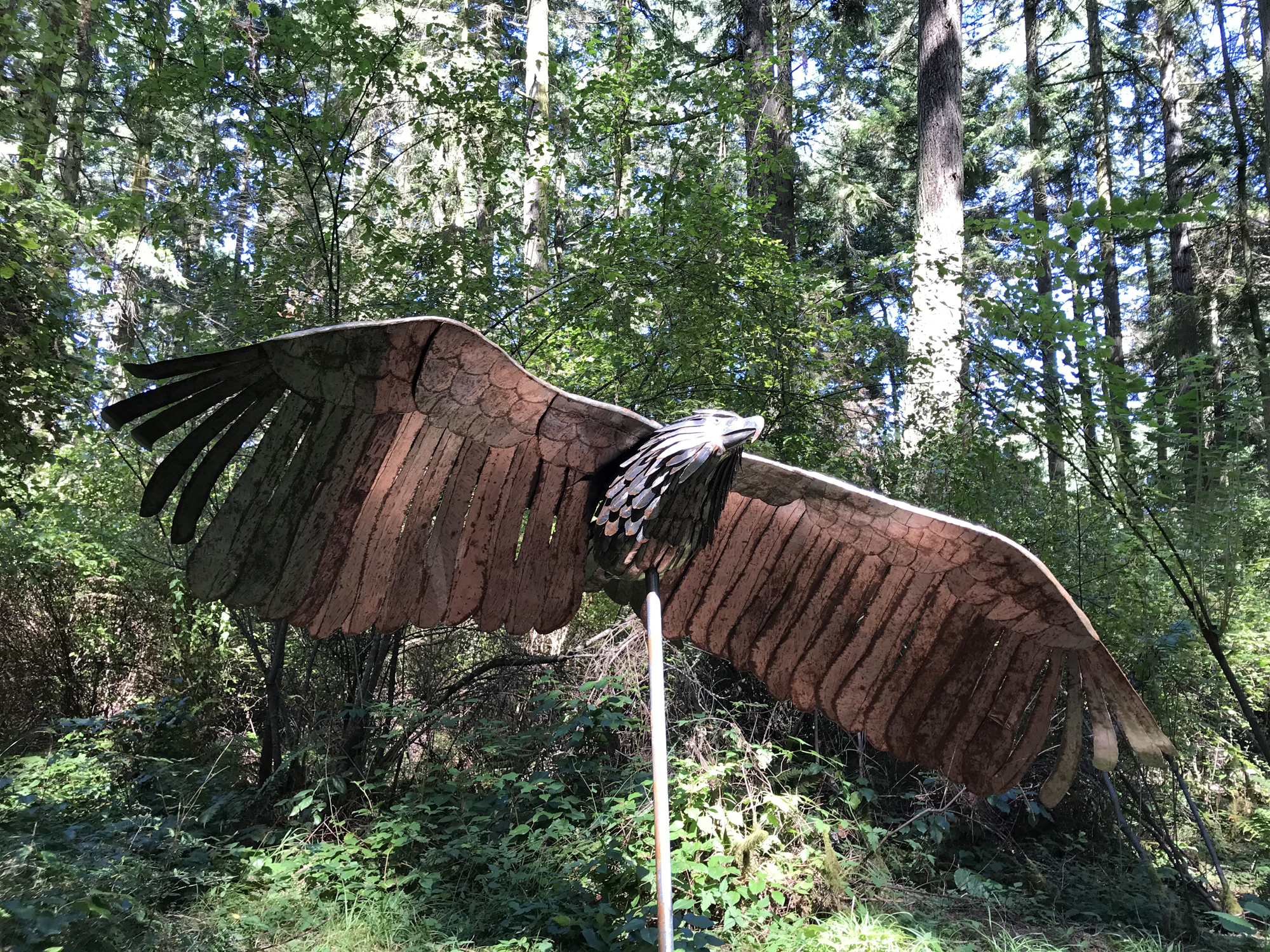 Sculptor Greg Neal sculpture Soaring Eagle at Price Sculpture Forest sculpture park in Coupeville on Whidbey Island