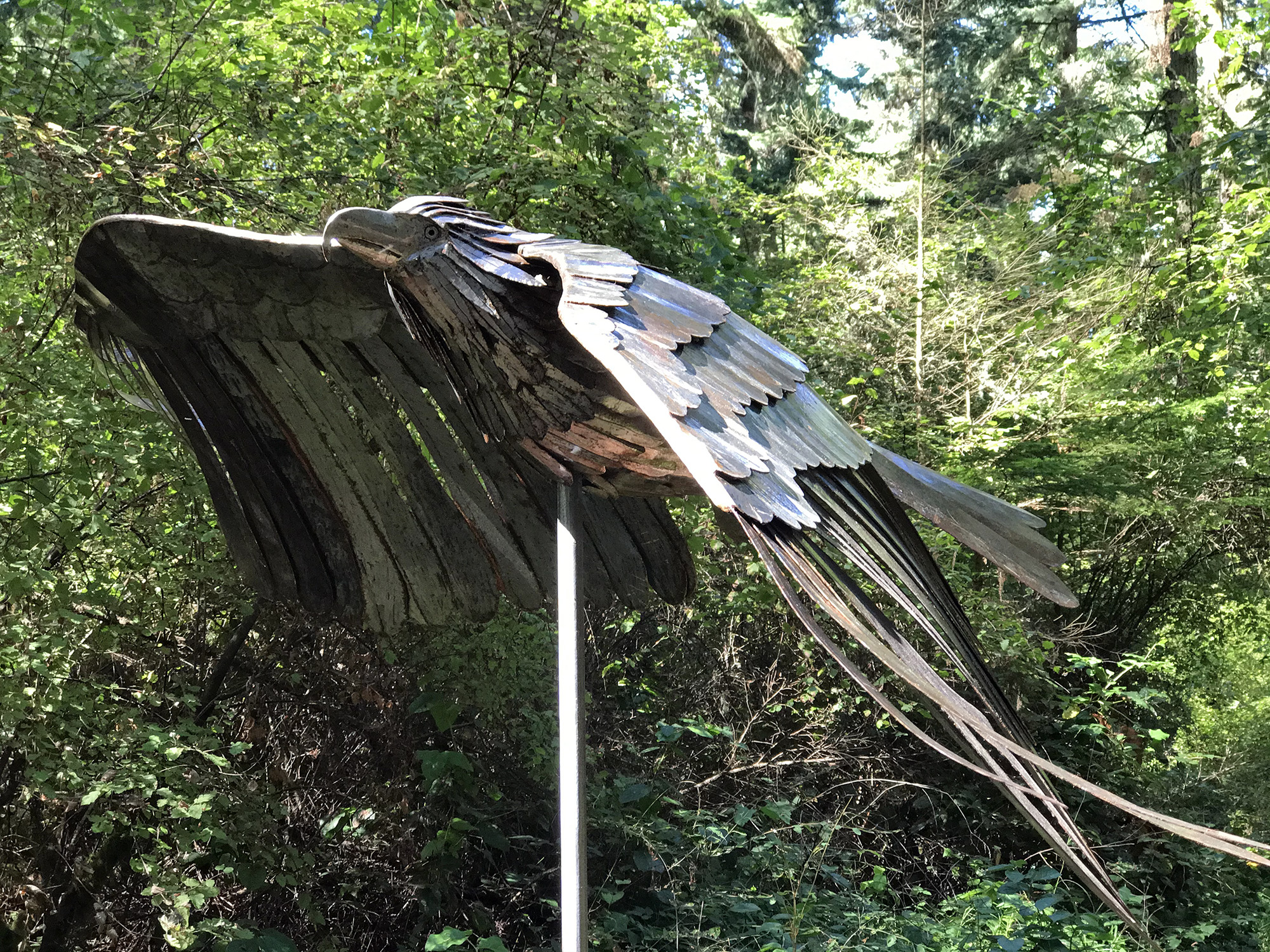 Sculptor Greg Neal sculpture Soaring Eagle in memory of Pam Young at Price Sculpture Forest park Coupeville Whidbey Island