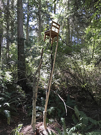 Boyang Yu Points of Departure Act II at Price Sculpture Forest sculpture park garden in Coupeville on Whidbey Island
