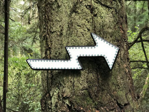 Lydia Price Whimsy Way trail arrow sign at Price Sculpture Forest