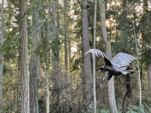 Greg Neal's Attacking Eagle at Price Sculpture Forest park garden in Coupeville on Whidbey Island