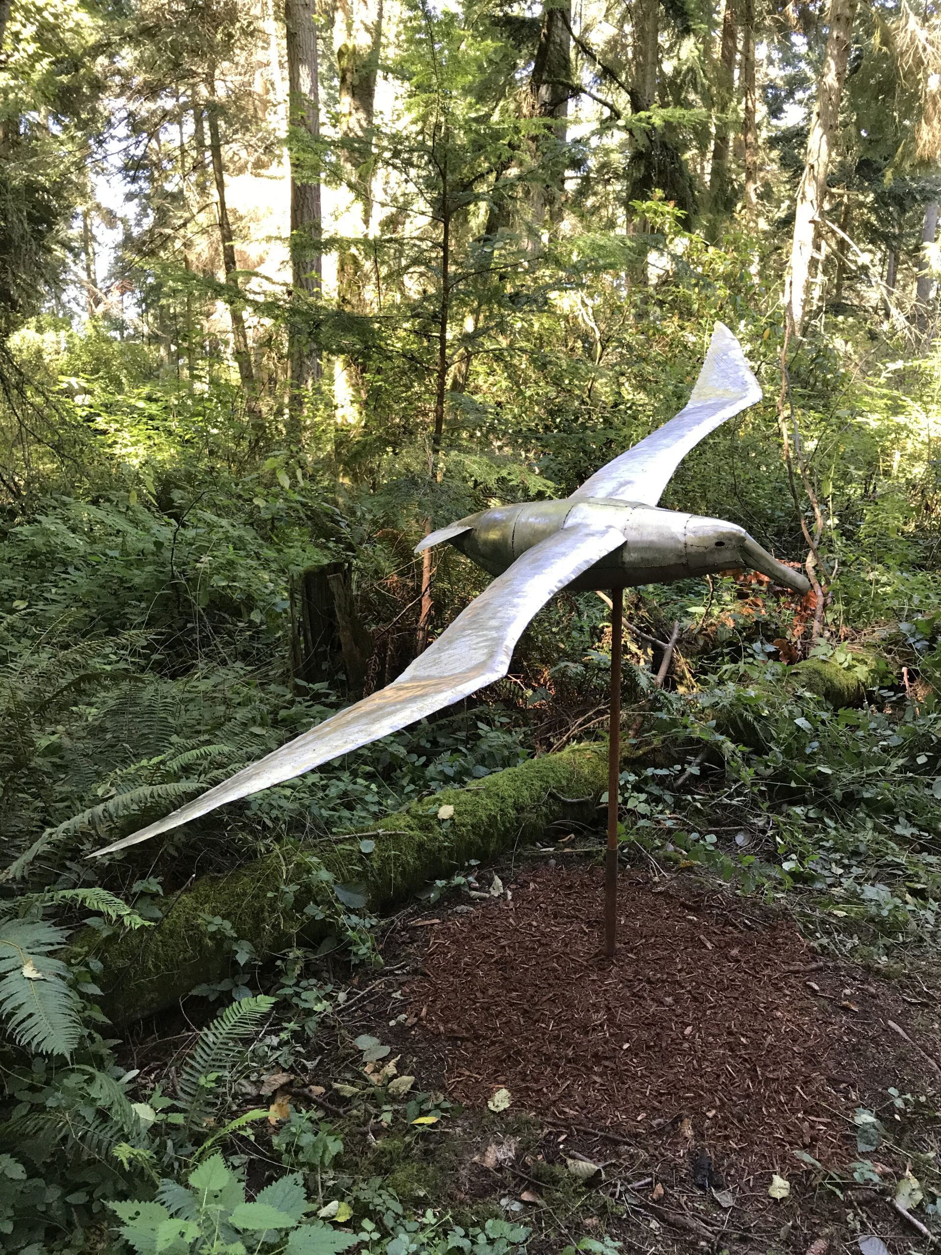 Sculptor Greg Neal sculpture Gliding Albatross at Price Sculpture Forest sculpture park garden in Coupeville on Whidbey Island