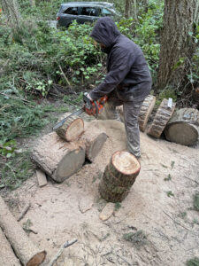 Artist Anthony May cutting logs to smaller working size at Price Sculpture Forest