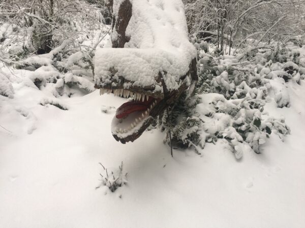 Joe Treat Tyrannosaurus Rex in snow at Price Sculpture Forest park garden Coupeville Whidbey Island