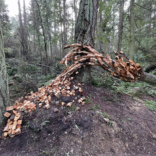 Anthony Heinz May Nature's Keystone at Price Sculpture Forest