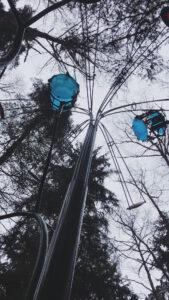 Jeff Tangen Playa Flowers - photo by Indi Rose of Poulsbo WA Instagram indiarose94