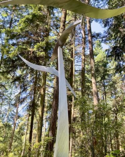Wind Shear by Jeff Kahn at Price Sculpture Forest park garden in Coupeville Whidbey Island - photo by Sharon Kurtz of Dallas TX