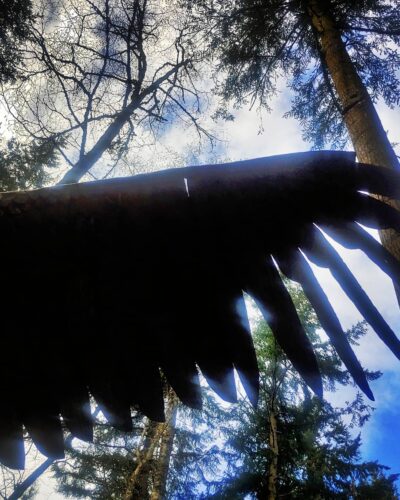 Greg Neal Attacking Eagle wing - photo by Shannon Nicole Bobo of Greenbank WA