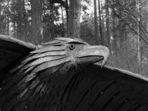 Soaring Eagle by Greg Neal donated by David Young at Price Sculpture Forest - photo by Judy Anderson Smith of Coupeville
