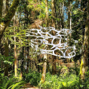 Daniella Rubinovitz's Flying Fish at Price Sculpture Forest