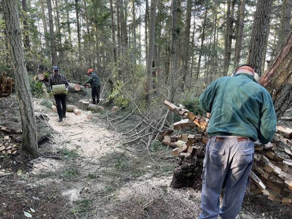 Bob, Michael, and Ken clearing Whimsy Way trail of fallen trees at Price Sculpture Forest