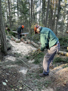 Volunteers Michael and Ken clearing Whimsy Way trail of fallen trees at Price Sculpture Forest