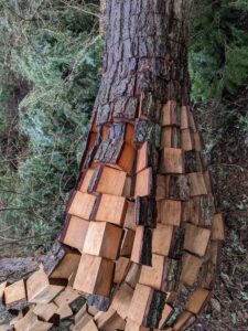 Anthony Heinz May Nature's Keystone at Price Sculpture Forest - photo by Lenis Kruty Russell Instagram naturally.lenis