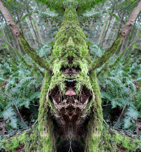 Price Sculpture Forest mirror photo by Thom Davis of Ferndale WA