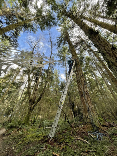 Dick DeLay working on Flying Fish by Daniella Rubinovitz suspension system at Price Sculpture Forest