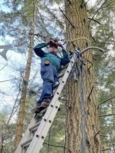 Dick DeLay working on Flying Fish by Daniella Rubinovitz suspension system at Price Sculpture Forest