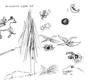 Allways Look Up drawing by Holloway Crampton at Price Sculpture Forest