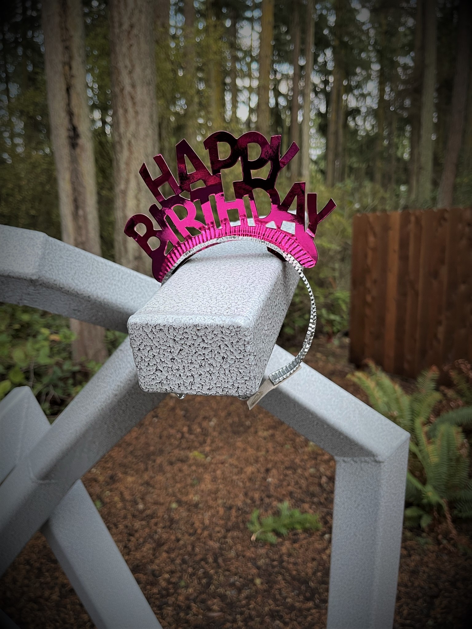 Happy 2nd Birthday to Price Sculpture Forest