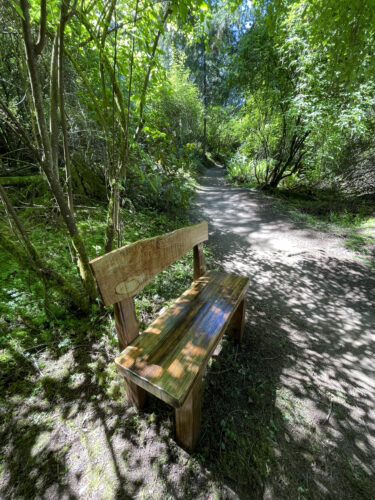 Bill Evans wood bench at Price Sculpture Forest