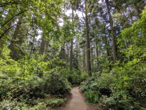 Hiking trails at Price Sculpture Forest - photo by Robert Richardson