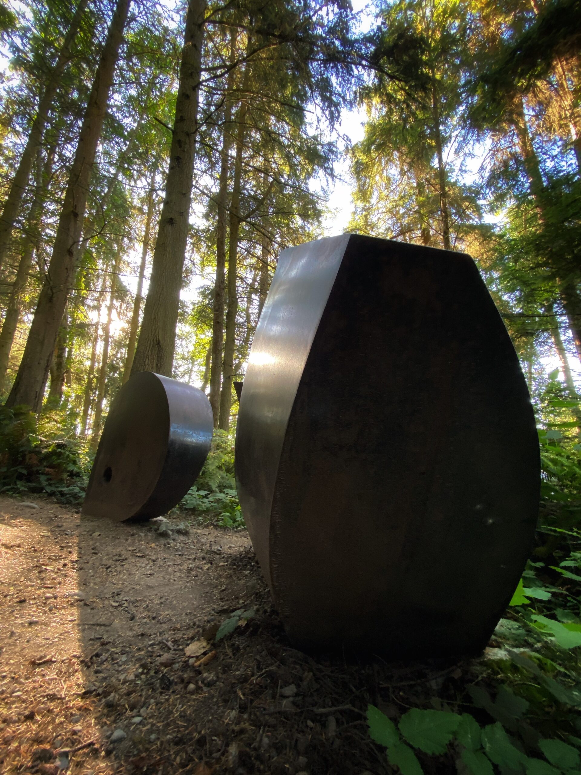 Inside Out 14 and 15 by MacRae Wylde at Price Sculpture Forest - photo by Todd Hipsher