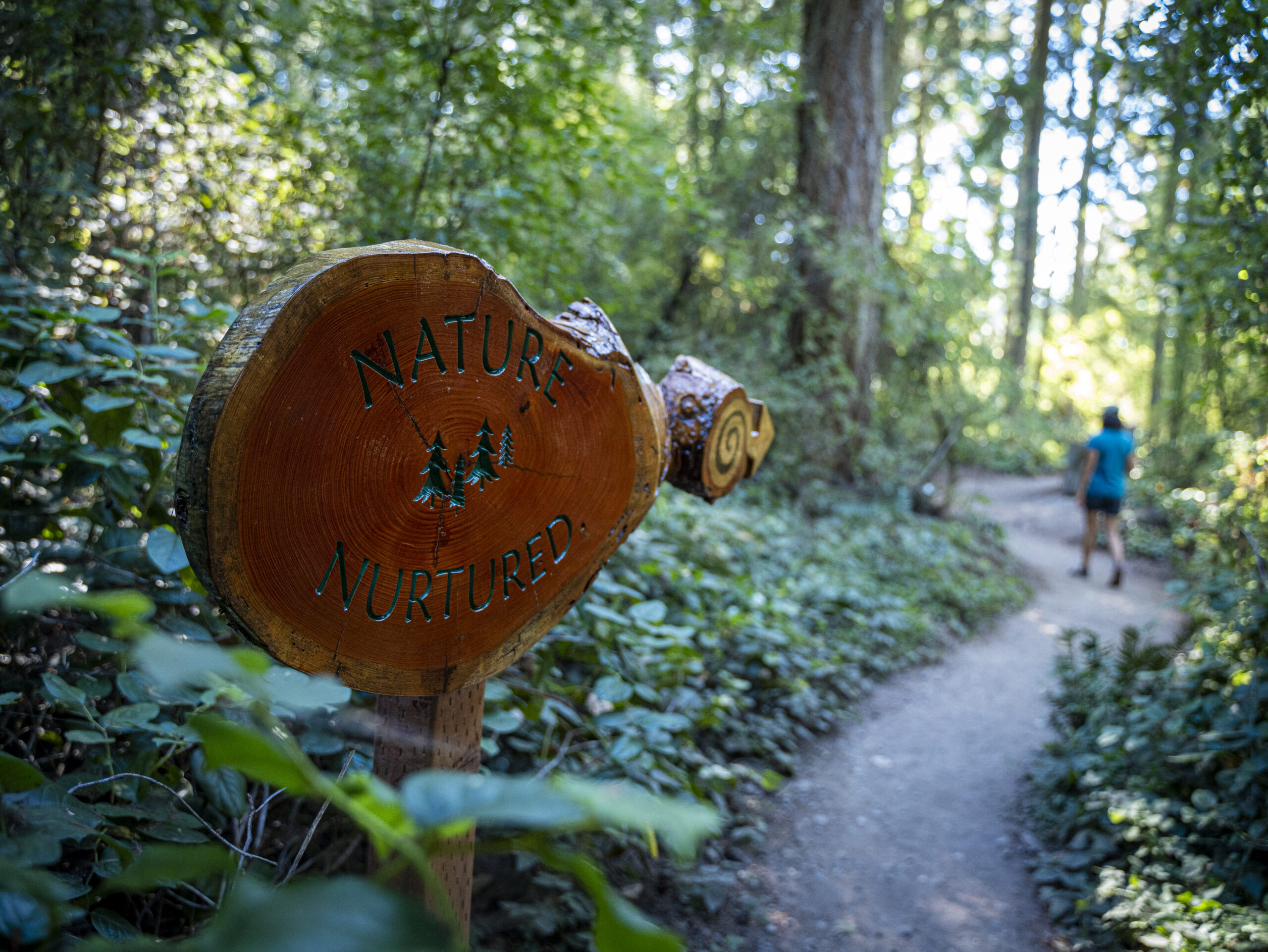 Nature Nurtured sign by Michael Hauser, Linda Hauser, and Ken Price at Price Sculpture Forest - photo by Lauren and Skyler Cavitt