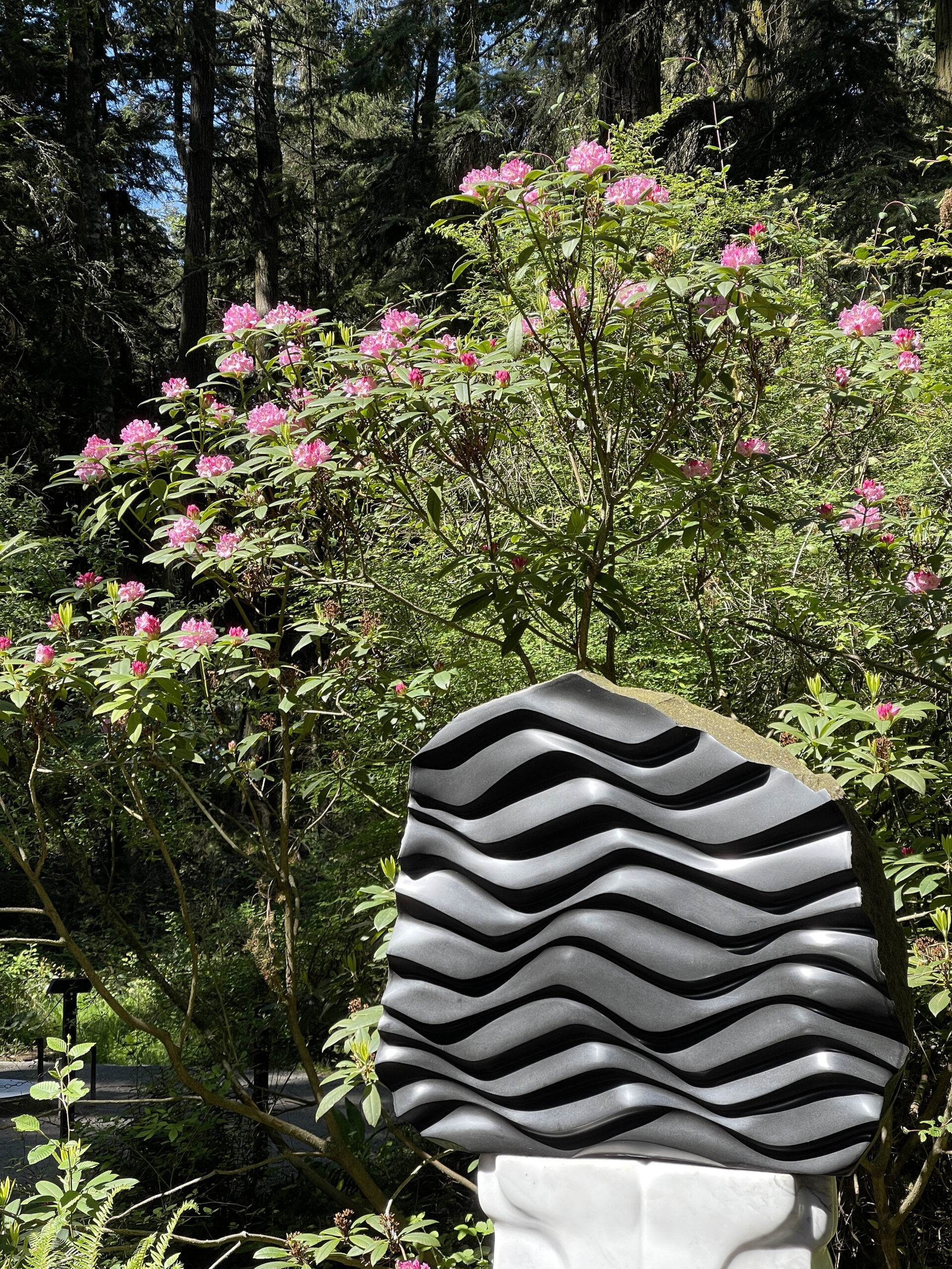 We Are Water by Sue Taves with rhododendrons in bloom at Price Sculpture Forest