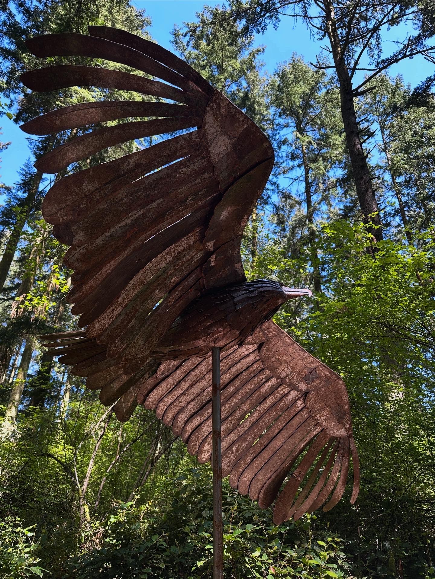 Soaring Eagle by Greg Neal and donated by David Young - photo by Amber of Chattanooga TN