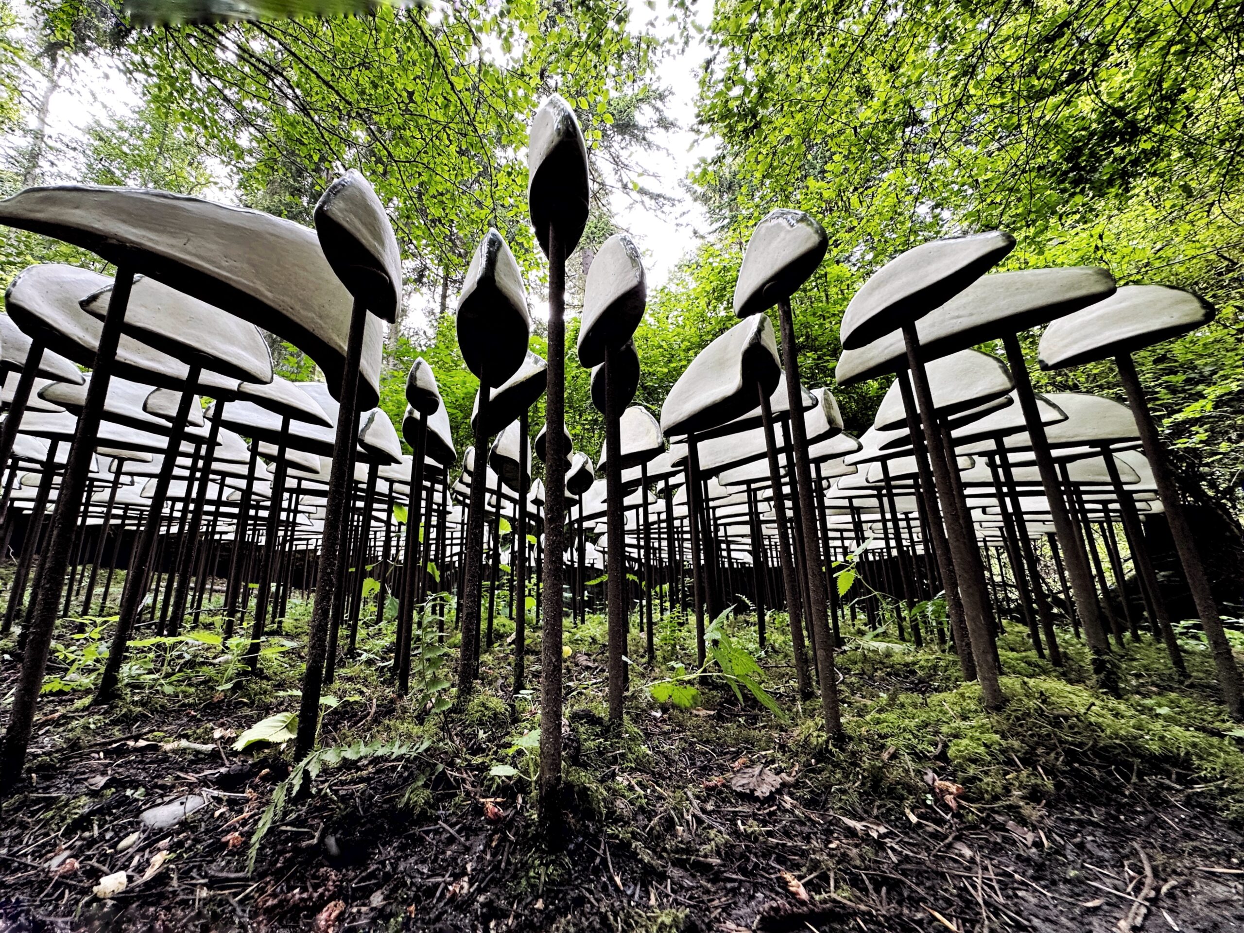 Lichen Series Spore Patterns by Jenni Ward at Price Sculpture Forest - photo by Camper Chen