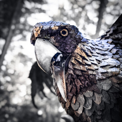Attacking Eagle by Greg Neal at Price Sculpture Forest - photo by Richard Pelletier