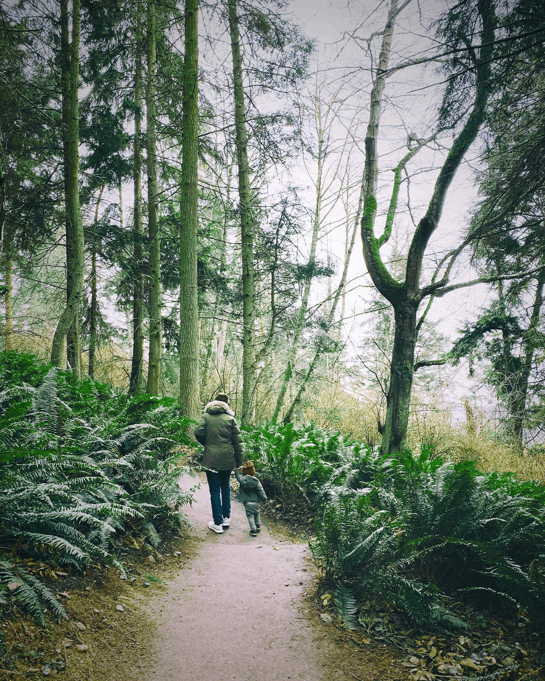 An adult and child walking together along a forest trail