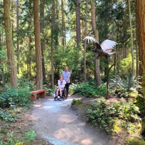 A wheelchair user and companion traveling along a wide forest trail