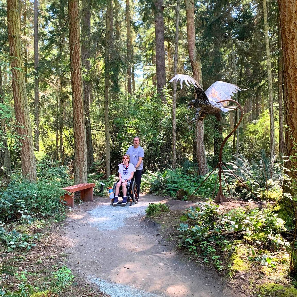 A wheelchair user and companion traveling along a wide forest trail