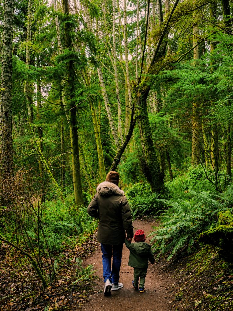 An adult and child walking together along a forest trail
